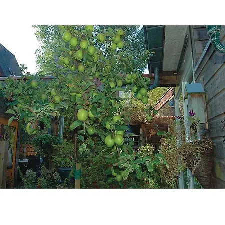 D'oude Werf - 06 ألكمار